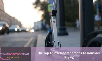 The Top 12 Pro scooter brands To Consider Buying