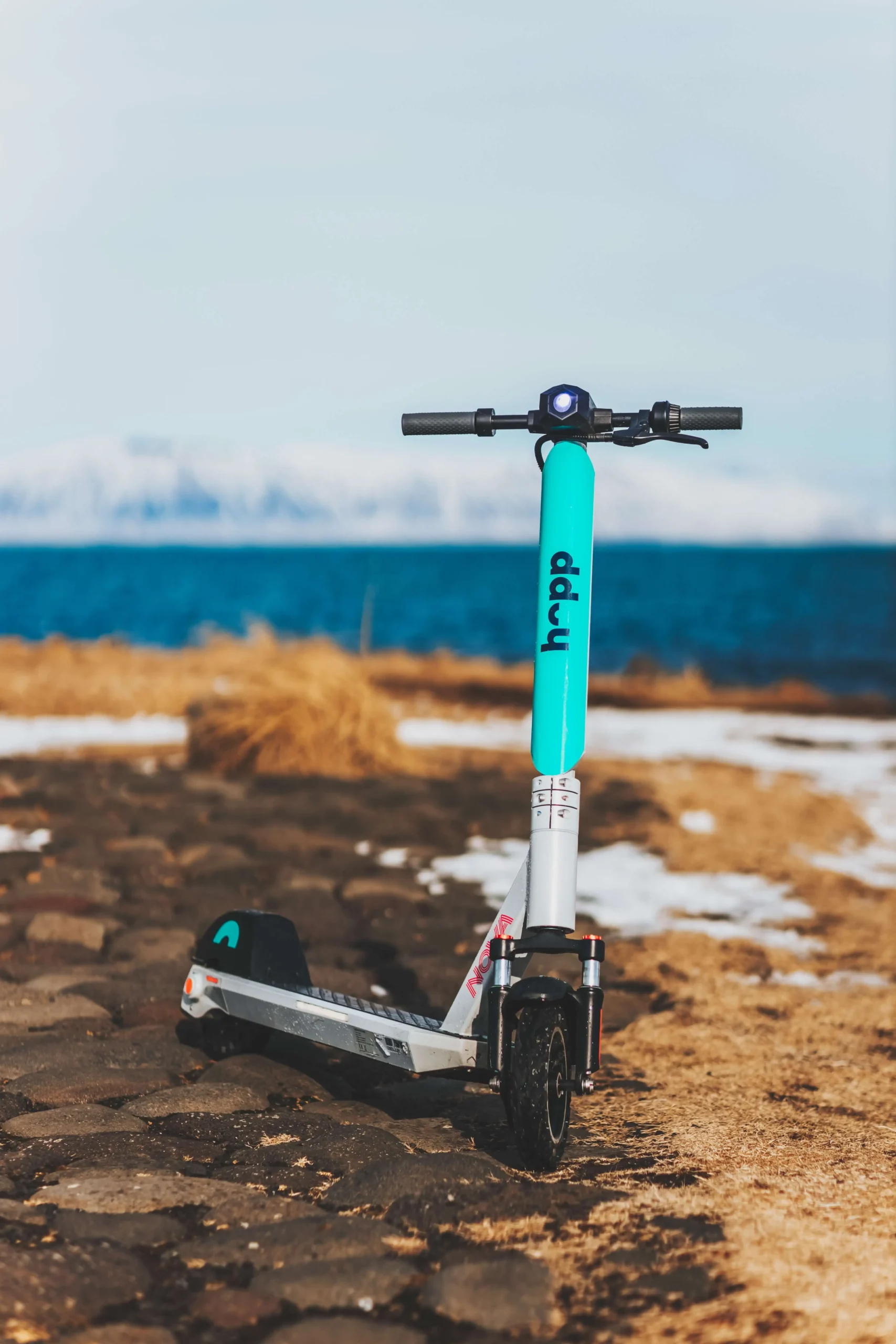 A Blue Pro scooter on brown sand standing in front of sea