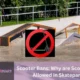 Why are Scooters Not Allowed in Skateparks