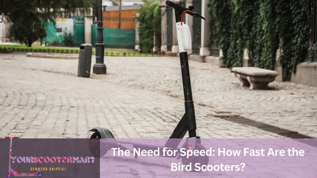 How Fast Are the Bird Scooters